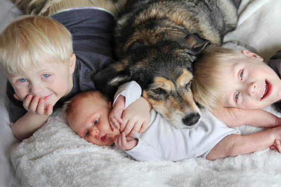twin boys and dog with new baby